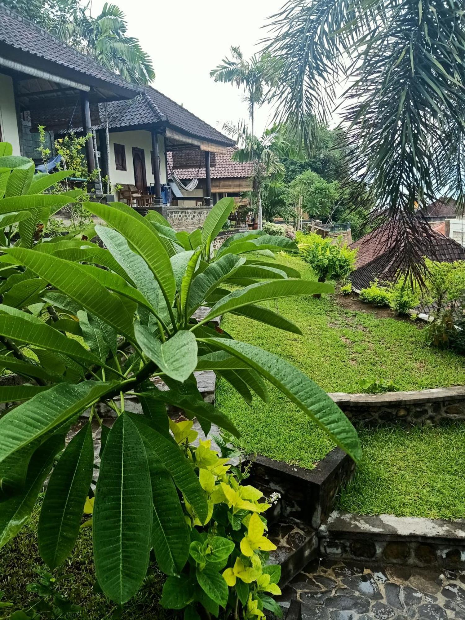 Апартаменти Bamboo Bali Амед Номер фото